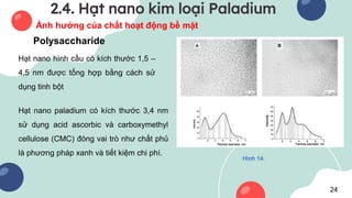 2.4. Hạt nano kim loại Paladium
Ảnh hưởng của chất hoạt động bề mặt
Polysaccharide
Hạt nano hình cầu có kích thước 1,5 –
4...