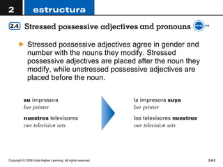 Stressed possessive adjectives agree in gender and number with the nouns they modify. Stressed possessive adjectives are placed after the noun they modify, while unstressed possessive adjectives are placed before the noun. 