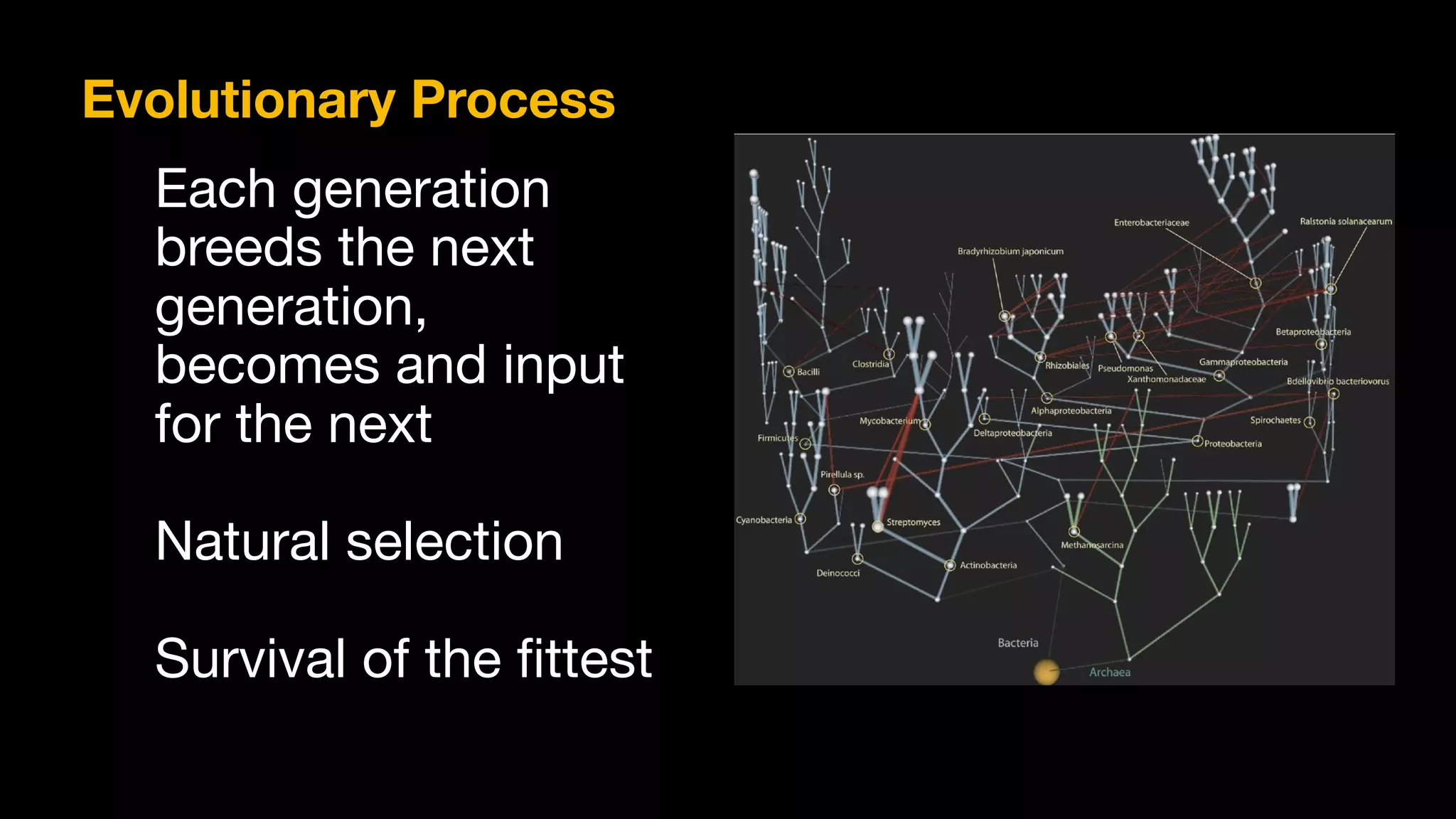 Evolutionary Process
Each generation

breeds the next
generation,
becomes and input
for the next

Natural selection

Survival of the ﬁttest
 