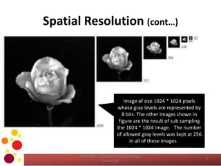 Digital Image Fundamentals - II | PPTX