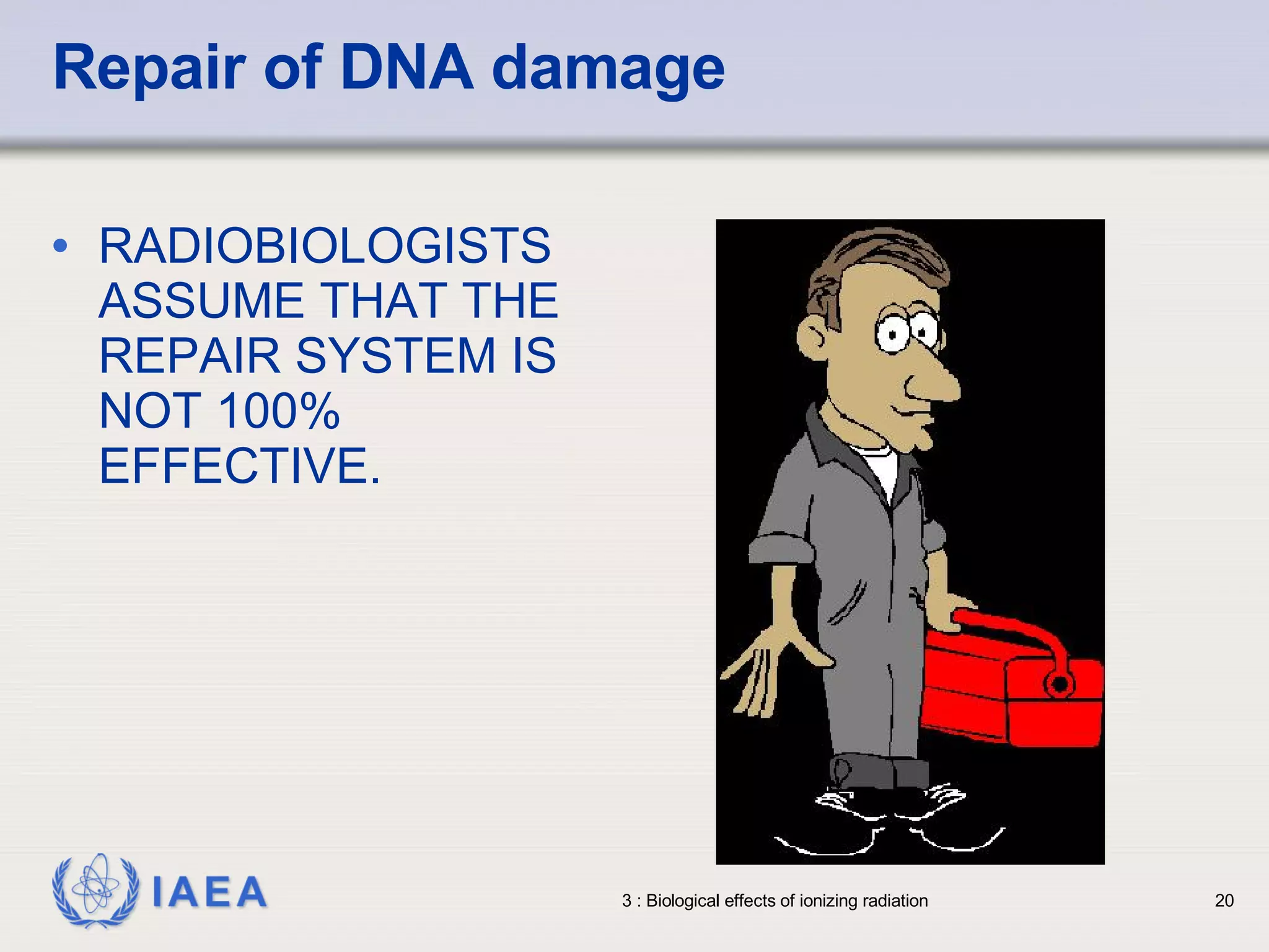 Repair of DNA damage RADIOBIOLOGISTS ASSUME THAT THE REPAIR SYSTEM IS NOT 100% EFFECTIVE. 