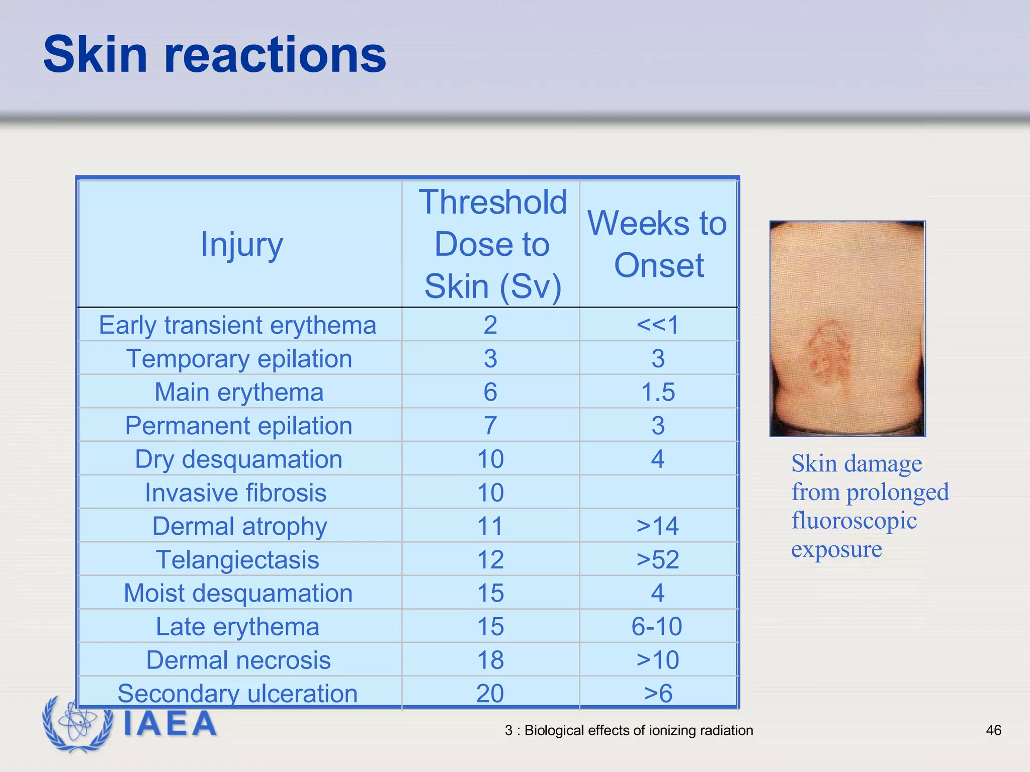 Skin reactions Injury Threshold  Dose to  Skin (Sv) Weeks to   Onset Early transient erythema 2 <<1 Temporary epilation 3 3 Main erythema 6 1.5 Permanent epilation 7 3 Dry desquamation 10 4 Invasive fibrosis 10 Dermal atrophy 11 >14 Telangiectasis 12 >52 Moist desquamation 15 4 Late erythema 15 6-10 Dermal necrosis 18 >10 Secondary ulceration 20 >6 Skin damage from prolonged fluoroscopic exposure 