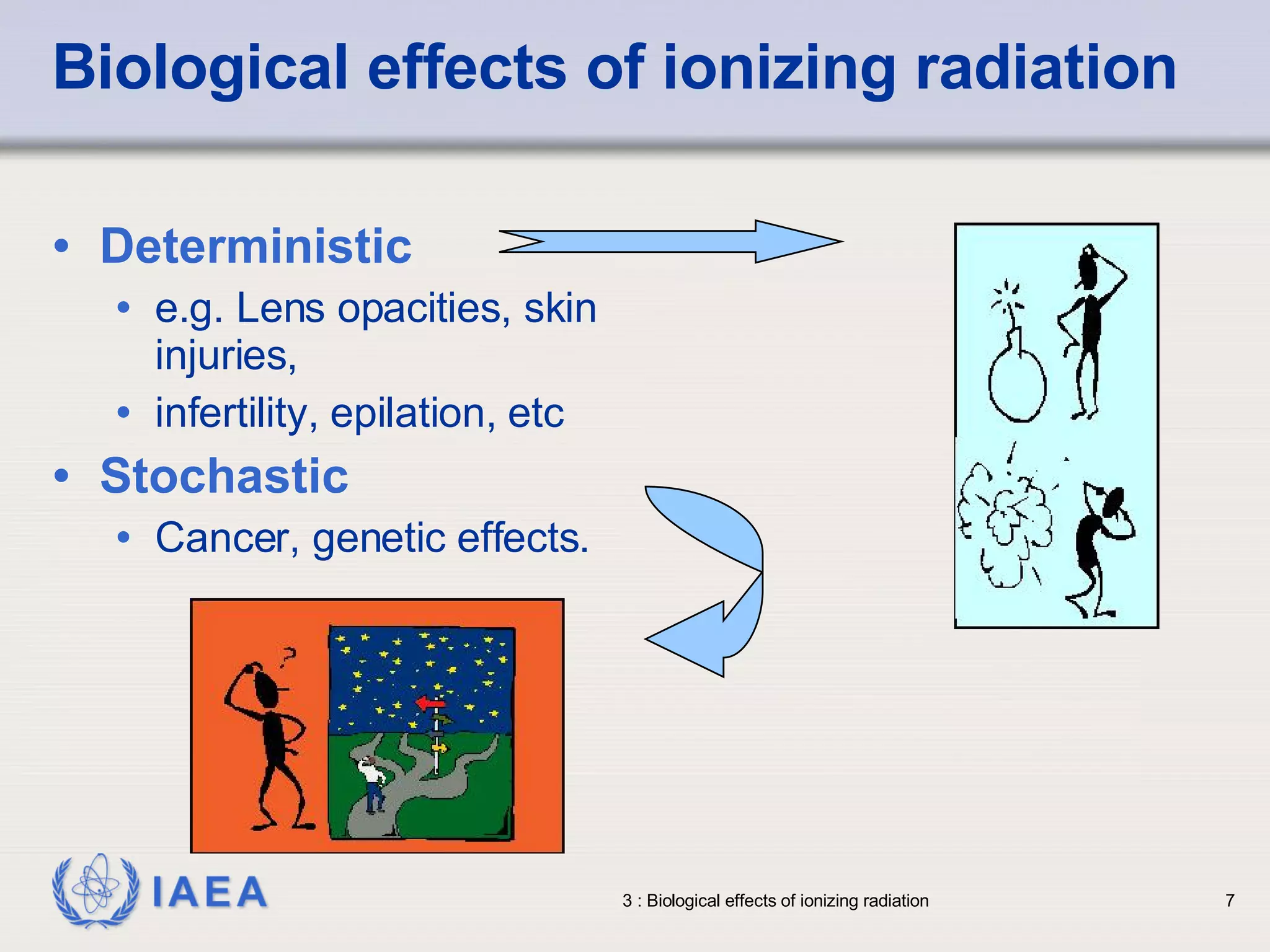 Biological effects of ionizing radiation Deterministic e.g. Lens opacities, skin injuries,  infertility, epilation, etc Stochastic Cancer, genetic effects. 