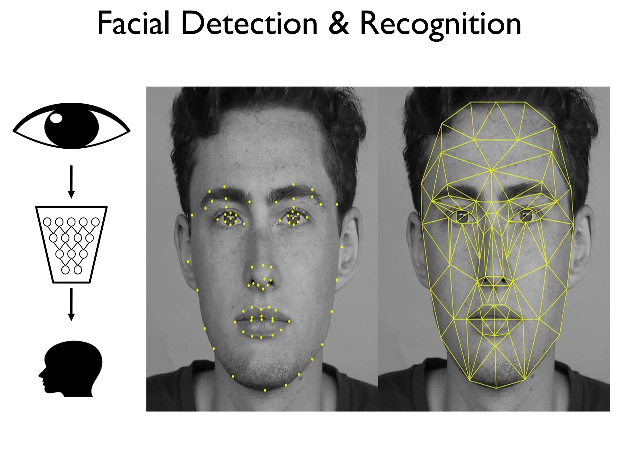 Facial Detection & Recognition 