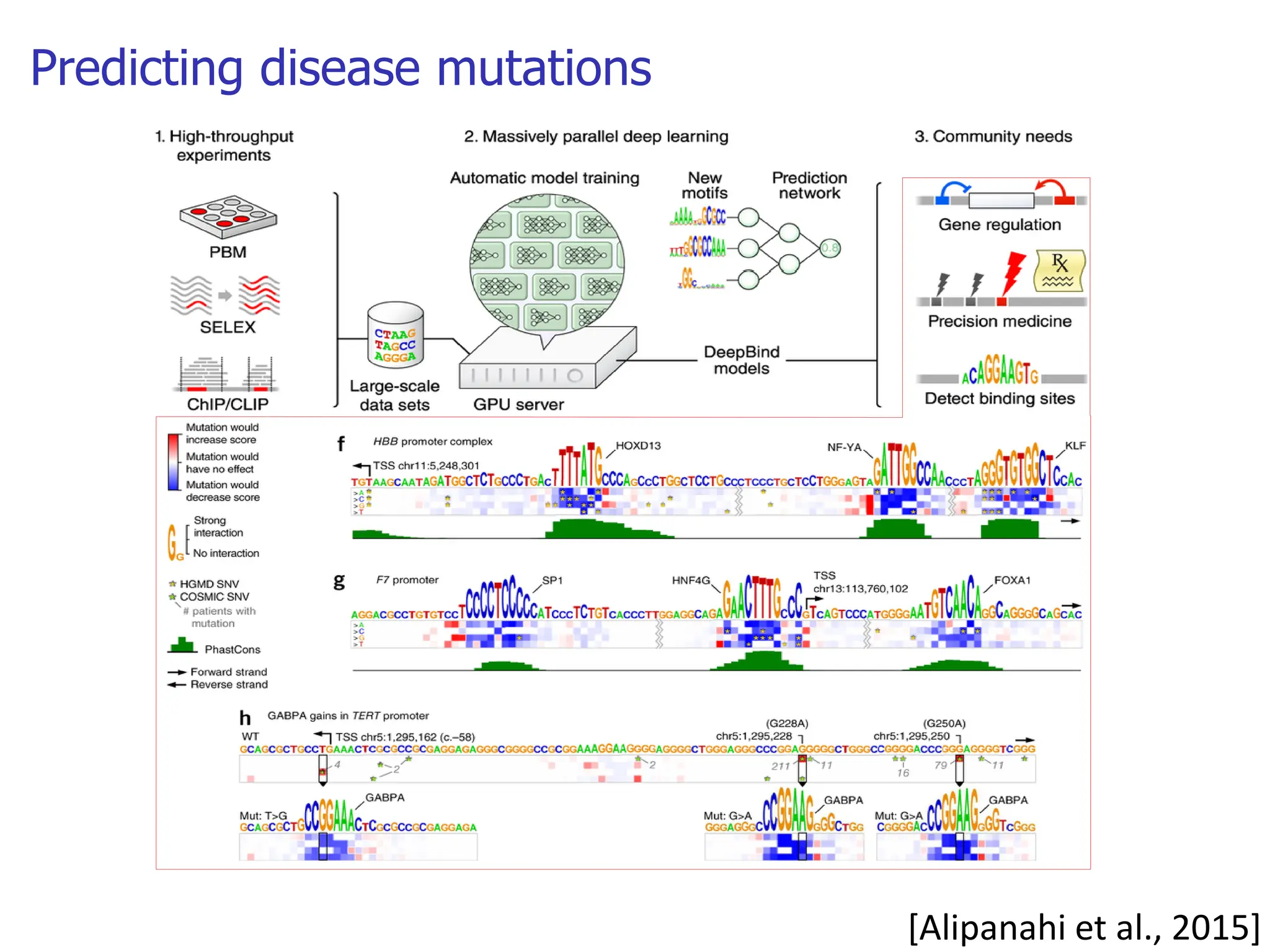 Predicting disease mutations [Alipanahi et al., 2015] 
