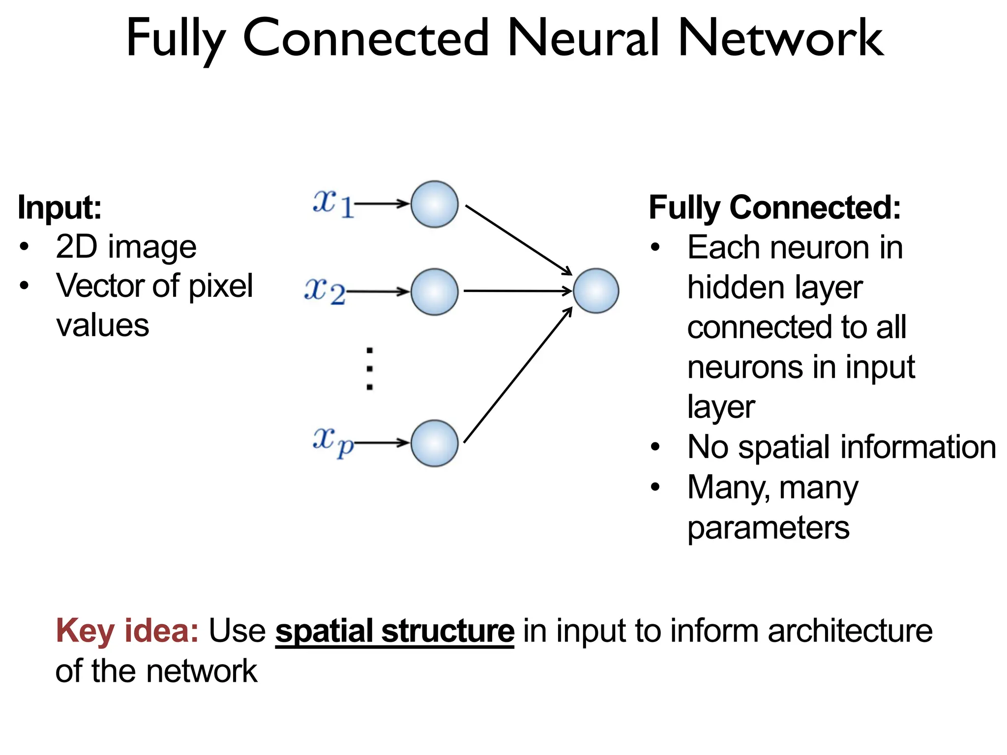 Fully Connected Neural Network Fully Connected: • Each neuron in hidden layer connected to all neurons in input layer • No spatial information • Many, many parameters Input: • 2D image • Vector of pixel values Key idea: Use spatial structure in input to inform architecture of the network 