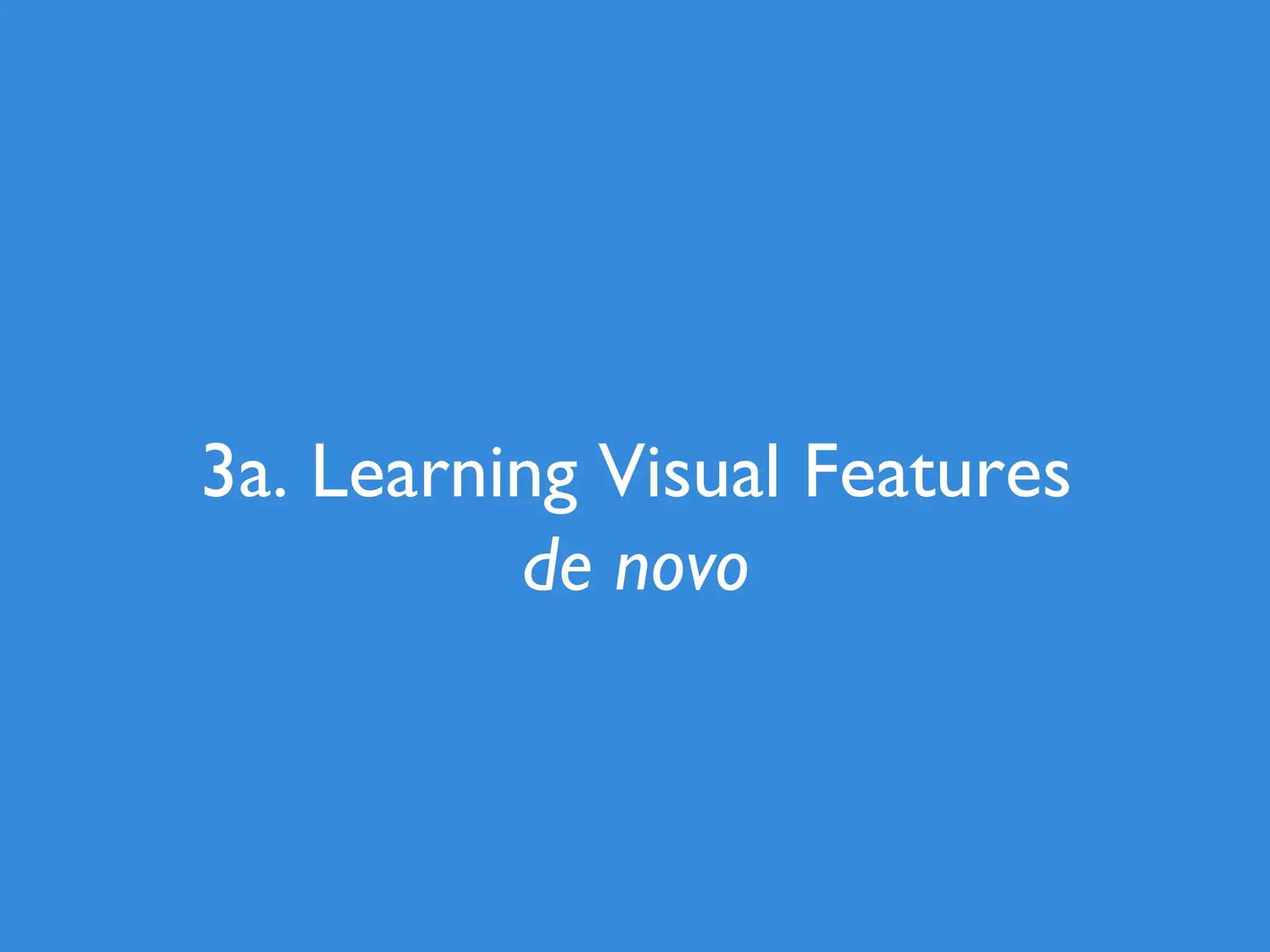 3a. Learning Visual Features de novo 