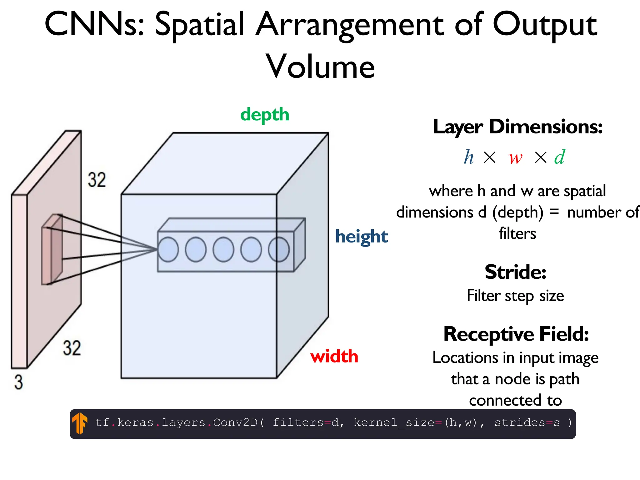 CNNs: Spatial Arrangement of Output Volume depth width height Layer Dimensions: ℎ  w d where h and w are spatial dimensions d (depth) = number of filters Stride: Filter step size Receptive Field: Locations in input image that a node is path connected to tf.keras.layers.Conv2D( filters=d, kernel_size=(h,w), strides=s ) 