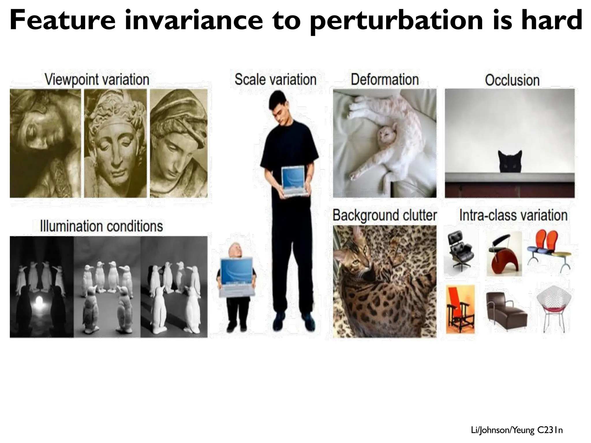 Detect features to classify Li/Johnson/Yeung C231n Feature invariance to perturbation is hard 