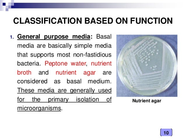Medical Microbiology Laboratory Culture Media Classification