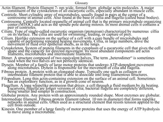 Glossary
Actin filament. Protein filament 7- nm wide, formed from globular actin molecules. A major
    constituent of the cytoskeleton of all eucaryotic cells, especially abundant in muscle cells.
Centriole. Short cylindric array of microtubules, usually found in pairs at the center of a
    centrosome in animal cells. Also found at the base of cillia and flagella (called basal bodies).
Centrosome. Centrally located organelle of animal cell that is the primary microtubule organizing
    center (MTOC) and acts as the spindle pole during mitosis. In most animal cells it contains a
    pair of centrioles.
Ciliate. Type of single-celled eucaryotic organism (protozoan) characterized by numerous cillia
    on its surface. The cillia are used for swimming, feeding, or capture of prey.
Cilium. Hairlike extension on the surface of a cell with a core bundle of microtubules and
    capable of performing repeated beating movements. Cillia, in large numbers, drive the
    movement of fluid over epithelial sheets, as in the lungs.
Cytoskeleton. System of protein filaments in the cytoplasm of a eucaryotic cell that gives the cell
    shape and the capacity for directed movement. Its most abundant components are actin
    filaments, microtubules and intermediate filaments.
Dimer. A structure composed of two equivalent halves. The term „heterodimer“ is sometimes
    used when the two halves are not perfectly identical.
Dynein. Member of a family of large motor proteins that undergo ATP-dependent movement
    along microtubules. Dynein is responsible for the movement of cilia and flagella.
Fibrous protein. A protein with an elongated shape. Typically one such as collagen or
    intermediate filament protein that is able to associate into long filamentous structures.
Filopodium. Long thin actin-containing extension on the surface of an animal cell. Sometimes
    has an exploratory function, as in a growth cone of neuron.
Flagellum. A long whipelike protrusion that drives a cell through a fluid medium by its beating.
    Eucaryotic flagella are longer versions of cilia; bacterial flagella are completely different,
    being smaller and simpler in construction.
Globular protein. Any protein with an approximately rounded shape. Most enzymes are globular.
Intermediate filament. Fibrous protein filament (about 10 nm in diameter) that forms ropelike
    networks in animal cells. Often used as a structural element that resists tension applied to the
    cell from outside.
Kinesin. One member of a large family of motor proteins that uses the energy of ATP hydrolysis
    to move along a microtubule.
 
