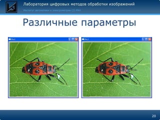 Различные параметры




                      20
 