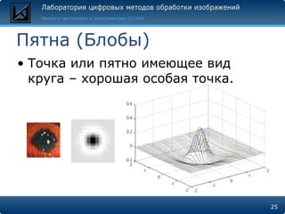 Пятна (Блобы)
• Точка или пятно имеющее вид
  круга – хорошая особая точка.




                                  25
 