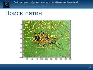 Поиск пятен




              30
 