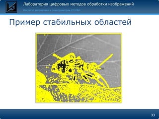 Пример стабильных областей




                             33
 