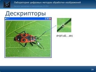 Дескрипторы


              d=(d1,d2,…dn)




                              39
 