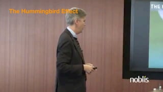 The Hummingbird Eﬀect
 