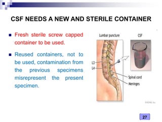27
CSF NEEDS A NEW AND STERILE CONTAINER
 Fresh sterile screw capped
container to be used.
 Reused containers, not to
be used, contamination from
the previous specimens
misrepresent the present
specimen.
 