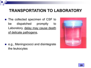28
TRANSPORTATION TO LABORATORY
 The collected specimen of CSF to
be dispatched promptly to
Laboratory, delay may cause death
of delicate pathogens,
 e.g., Meningococci and disintegrate
the leukocytes
 