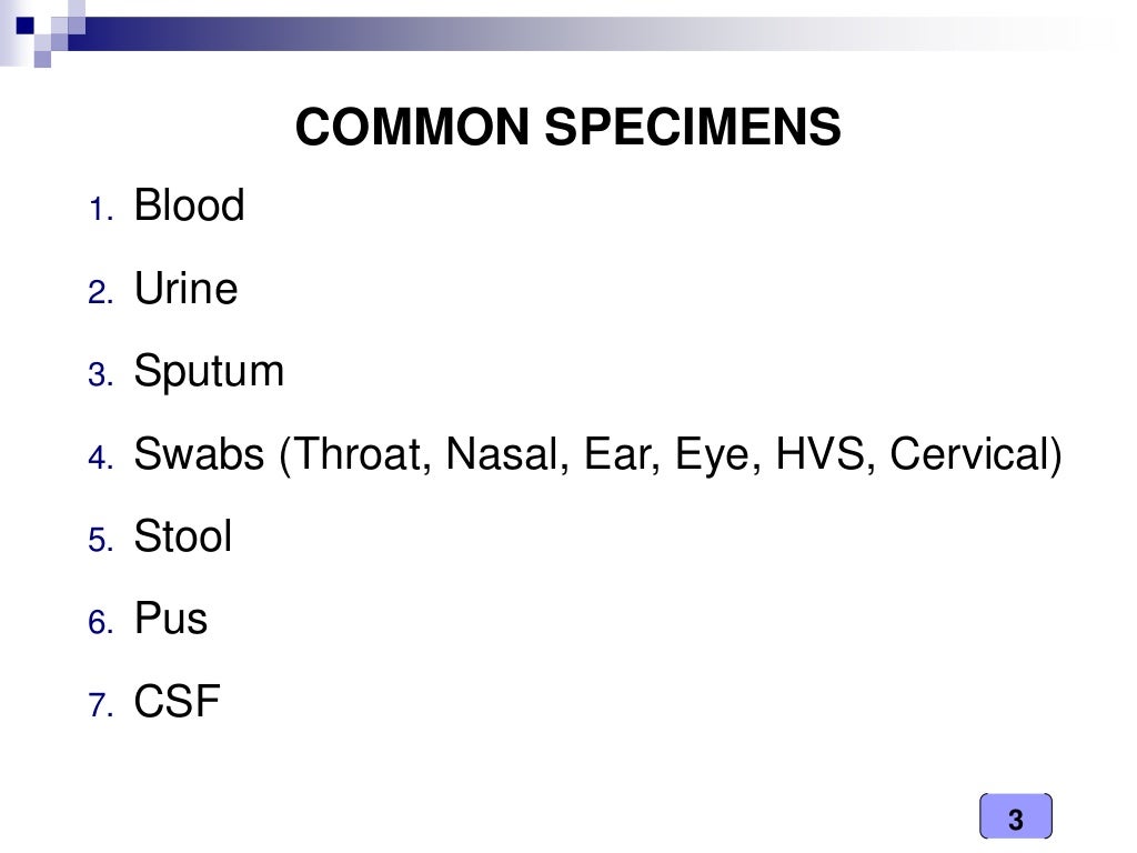Medical Microbiology Laboratory (sample collection)