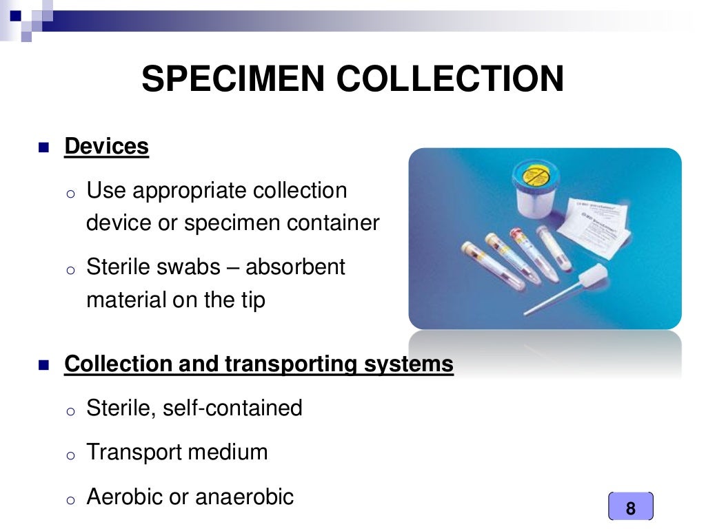 Medical Microbiology Laboratory (sample collection)