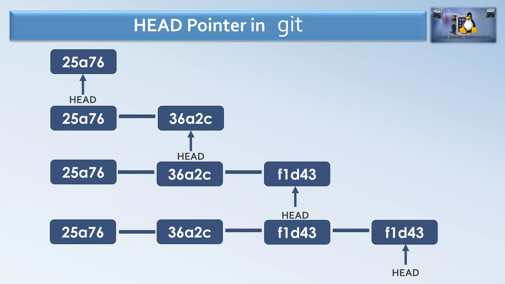 HEAD Pointer in git
25a76
HEAD
25a76
HEAD
25a76
HEAD
25a76
36a2c
36a2c
36a2c
f1d43
f1d43 f1d43
HEAD
 