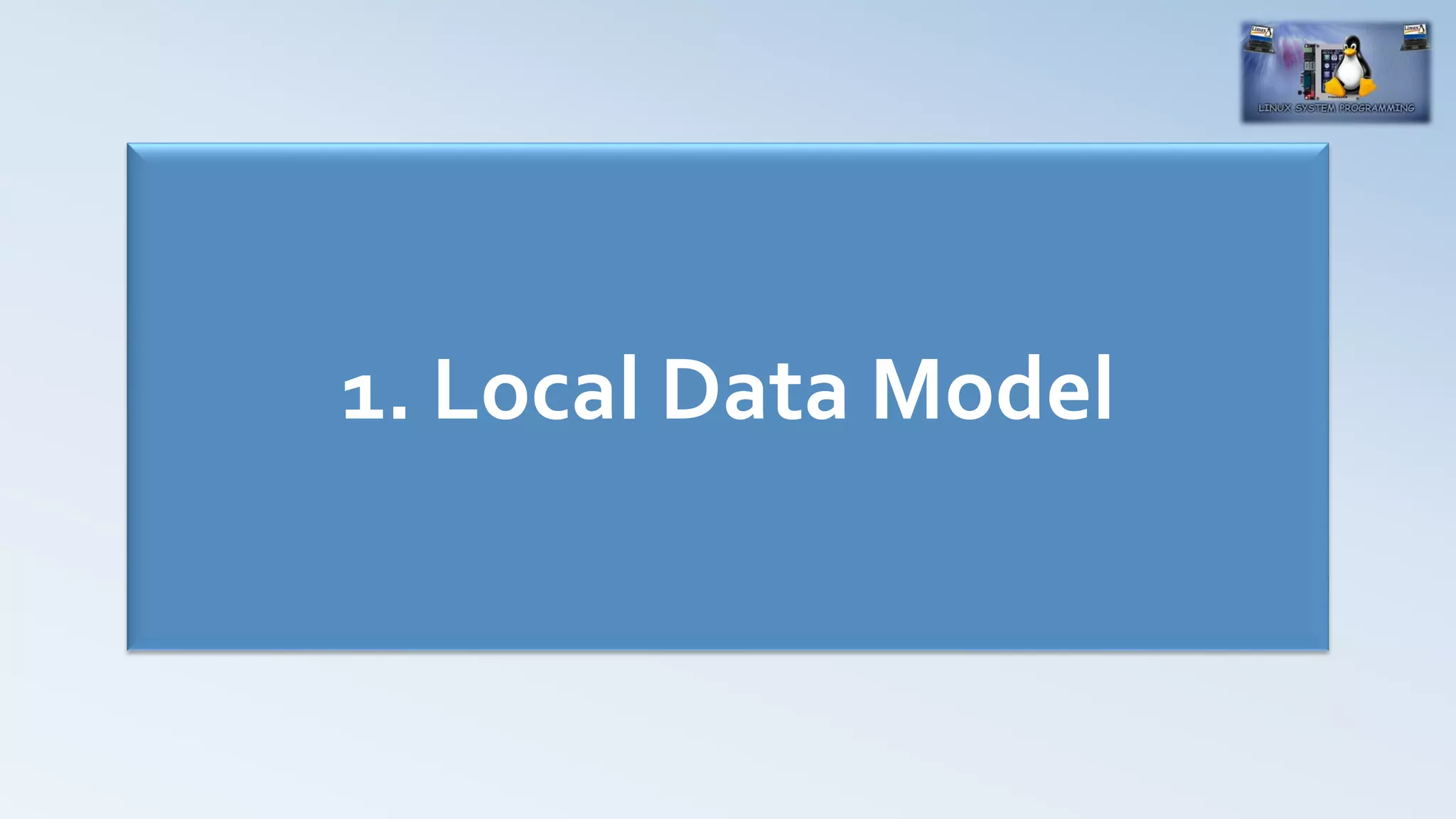 1. Local Data Model
 