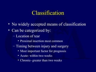 Classification
• No widely accepted means of classification
• Can be categorized by:
– Location of tear
• Proximal insertion most common
– Timing between injury and surgery
• Most important factor for prognosis
• Acute- within two weeks
• Chronic- greater than two weeks
 
