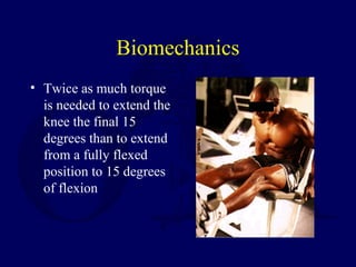 Biomechanics
• Twice as much torque
is needed to extend the
knee the final 15
degrees than to extend
from a fully flexed
position to 15 degrees
of flexion
 