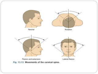 L07 - The MSK system.pptx by mohamed nuur cade sheekh cabdi macalin | PPTX