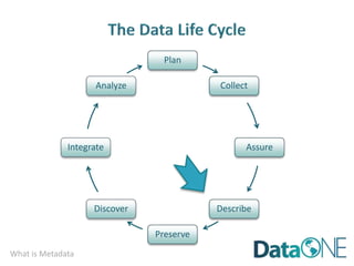 What is Metadata
Plan
Collect
Assure
Describe
Preserve
Discover
Integrate
Analyze
 