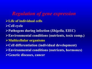 Regulation of gene expression   ,[object Object],[object Object],[object Object],[object Object],[object Object],[object Object],[object Object],[object Object]