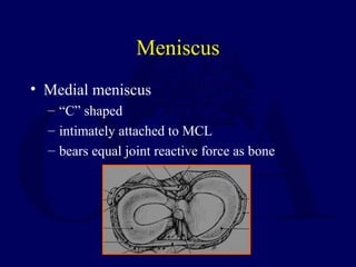 Meniscus
• Medial meniscus
– “C” shaped
– intimately attached to MCL
– bears equal joint reactive force as bone
 