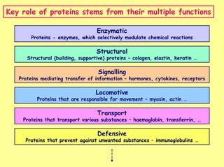 L08 protein metabolism | PDF