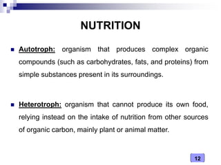12
NUTRITION
 Autotroph: organism that produces complex organic
compounds (such as carbohydrates, fats, and proteins) from
simple substances present in its surroundings.
 Heterotroph: organism that cannot produce its own food,
relying instead on the intake of nutrition from other sources
of organic carbon, mainly plant or animal matter.
 