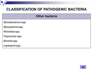 20
CLASSIFICATION OF PATHOGENIC BACTERIA
Other bacteria
Mycobacterium spp.
Mycoplasma spp.
Rickettsia spp.
Treponema spp.
Borrelia spp.
Leptospira spp.
 