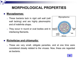 5
MORPHOLOGICAL PROPERTIES
 Mycoplasmas:
o These bacteria lack in rigid cell wall (cell
wall lacking) and are highly pleomorphic
and of indefinite shape.
o They occur in round or oval bodies and in
interlacing filaments.
 Rickettsiae and chlamydia:
o These are very small, obligate parasites, and at one time were
considered closely related to the viruses. Now, these are regarded
as bacteria.
 