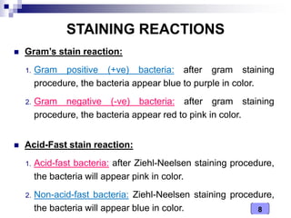8
STAINING REACTIONS
 Gram’s stain reaction:
1. Gram positive (+ve) bacteria: after gram staining
procedure, the bacteria appear blue to purple in color.
2. Gram negative (-ve) bacteria: after gram staining
procedure, the bacteria appear red to pink in color.
 Acid-Fast stain reaction:
1. Acid-fast bacteria: after Ziehl-Neelsen staining procedure,
the bacteria will appear pink in color.
2. Non-acid-fast bacteria: Ziehl-Neelsen staining procedure,
the bacteria will appear blue in color.
 