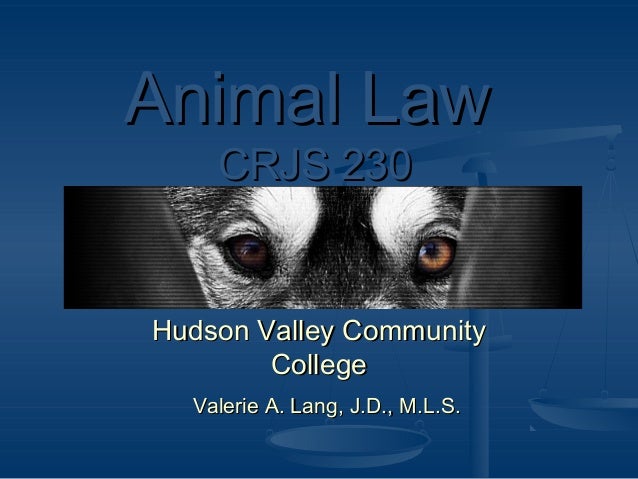 Key Animal Cruelty Laws in New York State