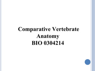 Comparative Vertebrate
Anatomy
BIO 0304214
 