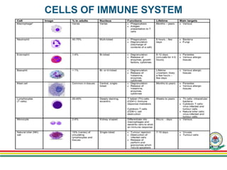 CELLS OF IMMUNE SYSTEM
 