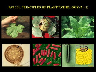 PAT 201. PRINCIPLES OF PLANT PATHOLOGY (2 + 1)
 