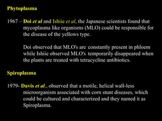 Phytoplasma
1967 – Doi et al and Ishiie et al, the Japanese scientists found that
mycoplasma like organisms (MLO) could be responsible for
the disease of the yellows type.
Doi observed that MLO's are constantly present in phloem
while Ishiie observed MLO's temporarily disappeared when
the plants are treated with tetracycline antibiotics.
Spiroplasma
1979- Davis et al., observed that a motile, helical wall-less
microorganism associated with corn stunt diseases, which
could be cultured and characterized and they named it as
Spiroplasma.
 