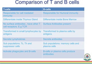 Comparison of T and B cells
T-cells B-cells
Responsible for cell mediated
immunity
Responsible for Humoral immunity
Differentiate inside Thymus Gland Differentiate inside Bone Marrow
No surface antibodies , have other T
cell receptors. E.g TCR
Surface Antibodies present
Transformed in small lymphocytes by
antigens
Transformed to plasma cells by
antigens
Secrete Lymphokines Secrete antibodies
Sub populations: Tc, Th and
suppressor cells
Sub populations: memory cells and
plasma cells
Activate phagocytes and B-cells B-cells or plasma cells produce
antibodies
 