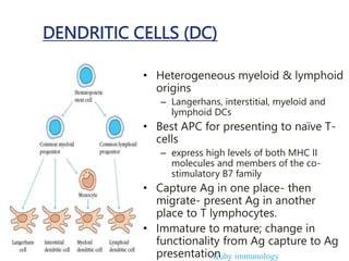 DENDRITIC CELLS (DC)
• Heterogeneous myeloid & lymphoid
origins
– Langerhans, interstitial, myeloid and
lymphoid DCs
• Best APC for presenting to naïve T-
cells
– express high levels of both MHC II
molecules and members of the co-
stimulatory B7 family
• Capture Ag in one place- then
migrate- present Ag in another
place to T lymphocytes.
• Immature to mature; change in
functionality from Ag capture to Ag
presentation
Kuby immunology
 