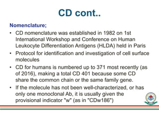 CD cont..
Nomenclature;
• CD nomenclature was established in 1982 on 1st
International Workshop and Conference on Human
Leukocyte Differentiation Antigens (HLDA) held in Paris
• Protocol for identification and investigation of cell surface
molecules
• CD for humans is numbered up to 371 most recently (as
of 2016), making a total CD 401 because some CD
share the common chain or the same family gene.
• If the molecule has not been well-characterized, or has
only one monoclonal Ab, it is usually given the
provisional indicator "w" (as in "CDw186")
 