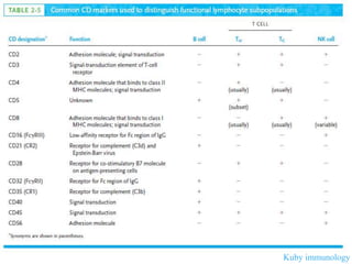 Kuby immunology
 