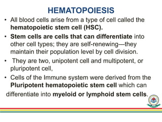HEMATOPOIESIS
• All blood cells arise from a type of cell called the
hematopoietic stem cell (HSC).
• Stem cells are cells that can differentiate into
other cell types; they are self-renewing—they
maintain their population level by cell division.
• They are two, unipotent cell and multipotent, or
pluripotent cell,
• Cells of the Immune system were derived from the
Pluripotent hematopoietic stem cell which can
differentiate into myeloid or lymphoid stem cells.
 
