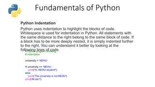 Python basics | PPTX