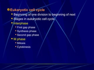 Eukaryotic cell cycle
 Beginning of one division to beginning of next
 Stages in eukaryotic cell cycle
 Interphase
 First gap phase
 Synthesis phase
 Second gap phase
 M phase
 Mitosis
 Cytokinesis
 
